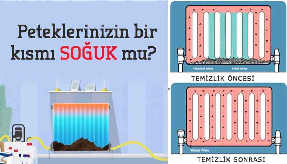 PETEK TEMİZLİĞİ